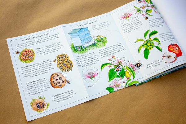 Voorleesboek | Het begint met een bij - Afbeelding 3