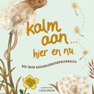 Kalm aan... Hier en nu