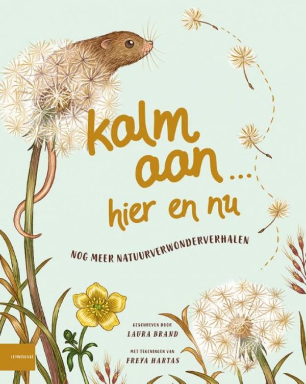 Kalm aan... Hier en nu