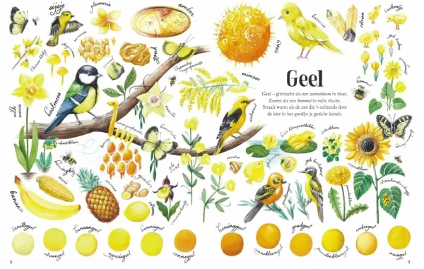 Kleuren in de Natuur - Afbeelding 2