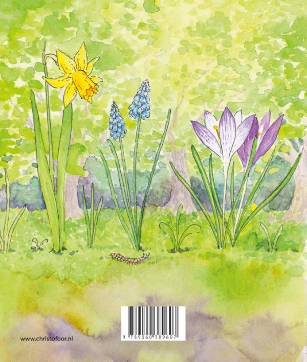 Spelen en ontdekken - Lente - Afbeelding 3