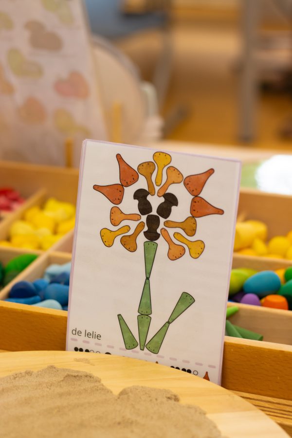 Digitale Grapat Ontdek Bundel - Printables - Afbeelding 14