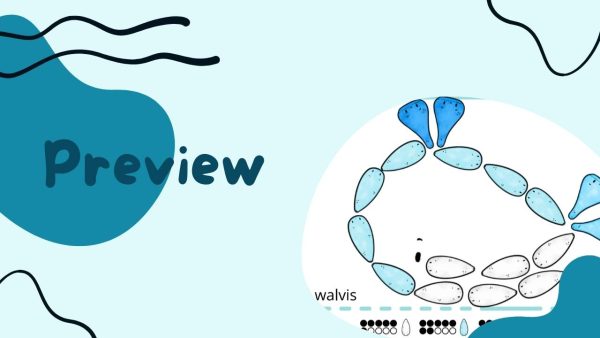 Digitale Grapat Bundel | Onderwaterwereld - Printables - Afbeelding 3