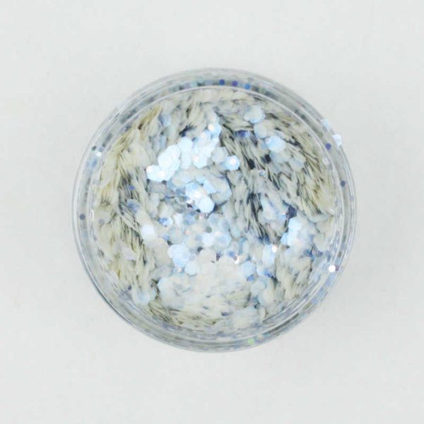 winter-BIO-glitter