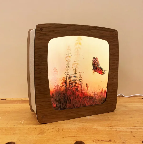 butterfly-mark-janssen